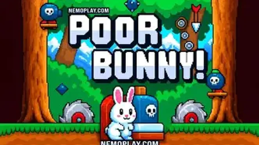 Poor Bunny